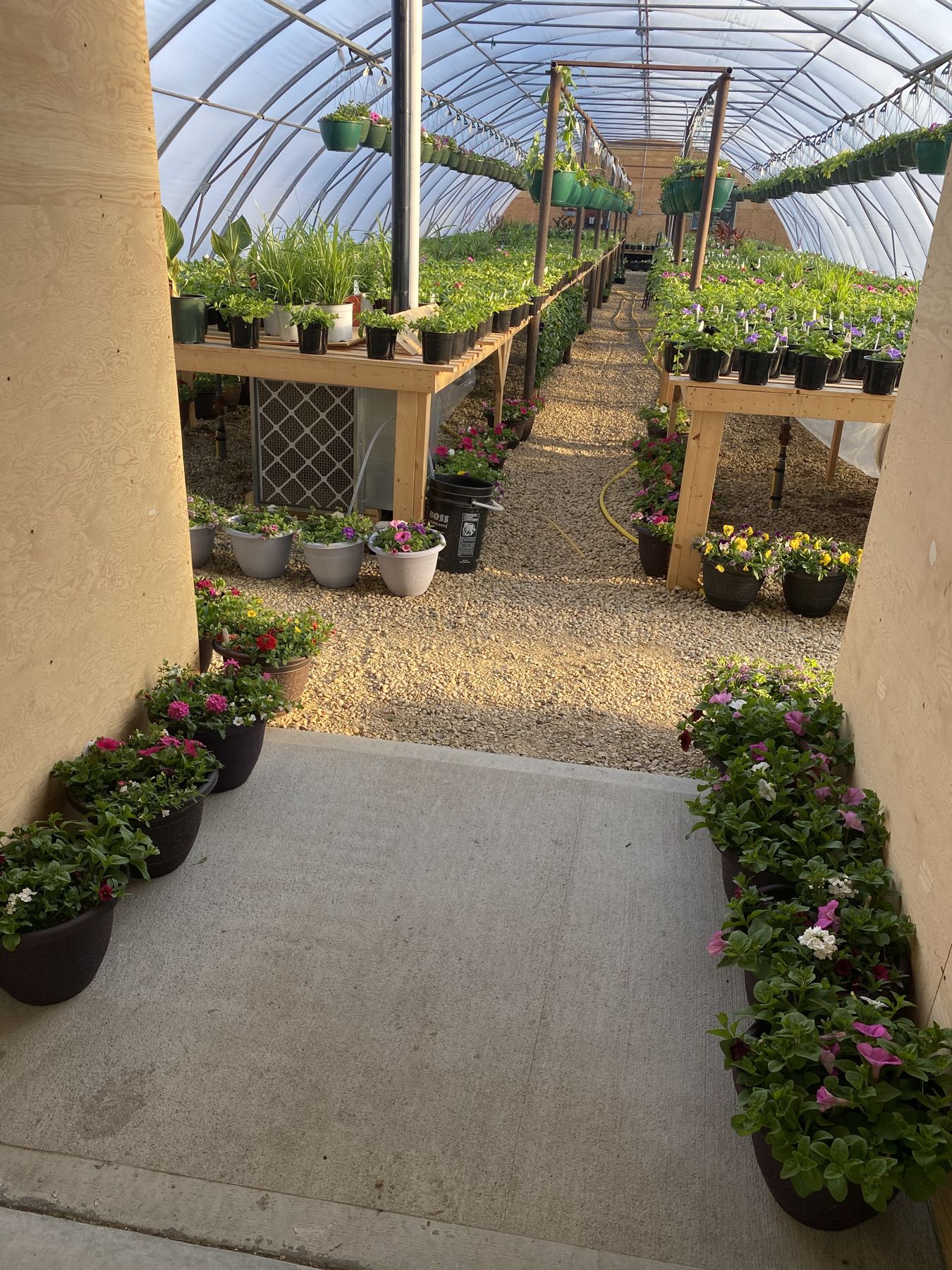 Greenhouse